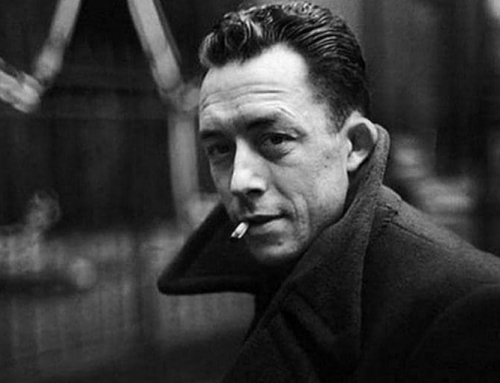 Lo Straniero di Camus